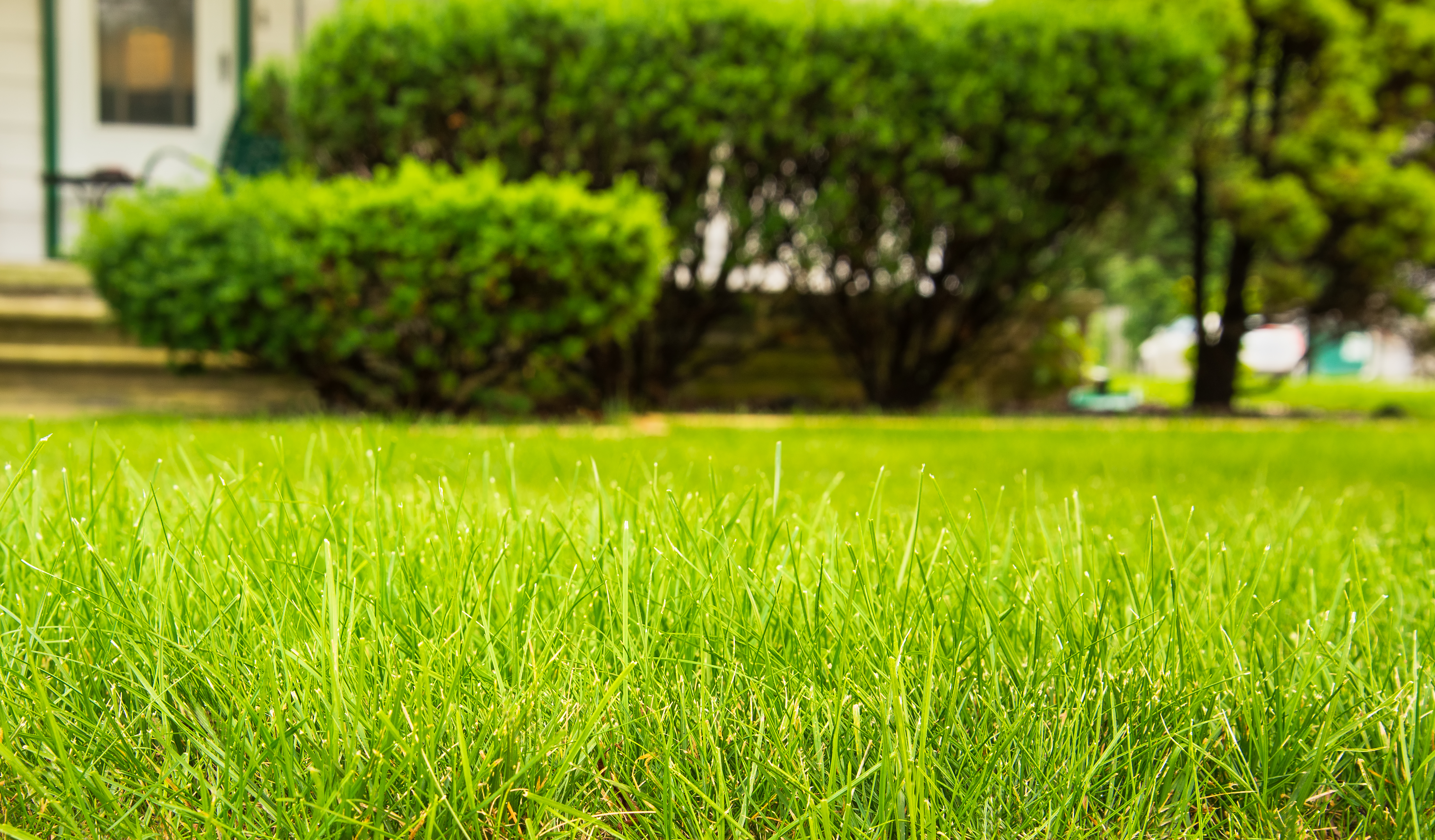 How To Get A Great Lawn With Aeration Top Dressing And Overseeding